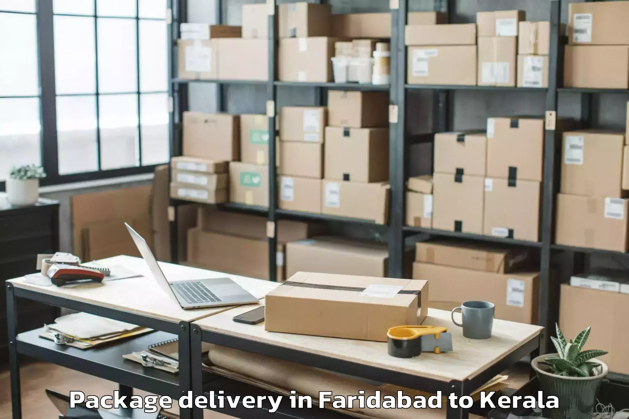 Quality Faridabad to Kovalam Package Delivery